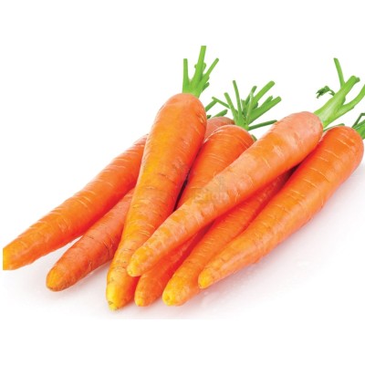 Морковь молодая 1 кг - купить в Маевке